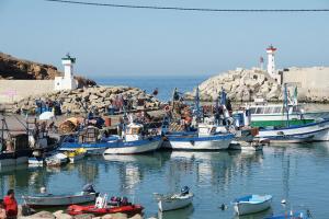 Le Port de Pêche de Tipaza