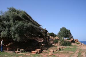 Ruines Romaines sur la Côte de Tipaza