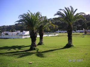 Jardin du complexe touristique de Tipaza
