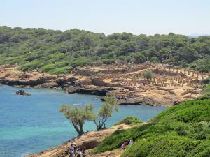 La Cité Romaine de Tipaza