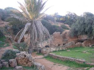 Patrimoine Romain de Tipaza