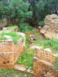 Tipaza, Ruines et Amorphes (Patrimoine de Rome)