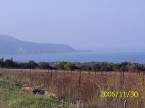 Tipaza- La crique du Chenoua