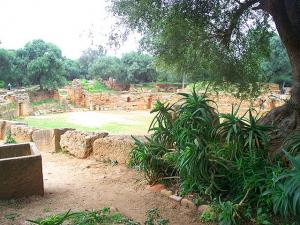 Tipaza, Ville Romaine, La Grande Cours