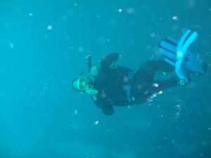 Plongée Sous Marine à Tipaza