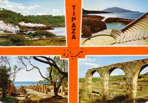 Carte Postale de la Cité Romaine de Tipaza