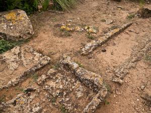 Necropolis à Tipaza (Nécropole Romaine)