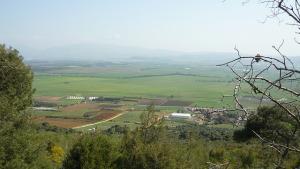 Champs agricoles à Tipaza