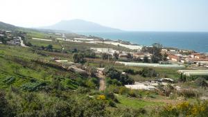La Côte de Tipaza