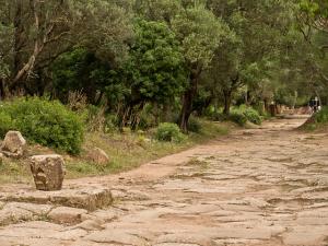 Cardo Maximus, Tipaza (Période Romaine)