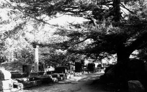 Ruine Romaines de Tipaza