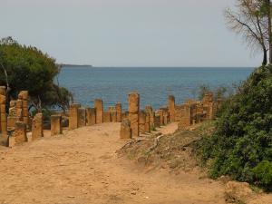 Cardo Maximus, Tipaza