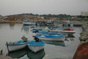 Port de Pêche à Tipaza