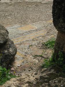 Mosaïque Romaine sur le dallage (Wilaya de Tipaza)
