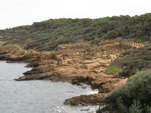 Mosaïque Romaine sur le dallage (Wilaya de Tipaza)