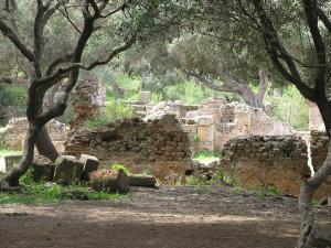 Vestiges Romains, Tipaza