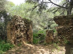 Vestiges Romains, Tipaza