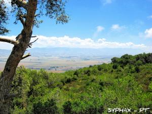 Beauté de la Mitidja (Wilaya de Tipaza)