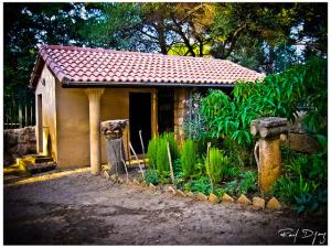 Ruines Romaines de Tipaza, Algerie