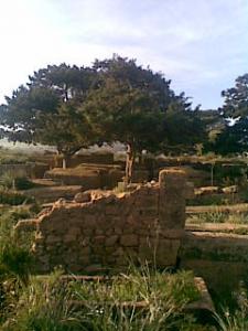 Ruines Romaines de Tipaza