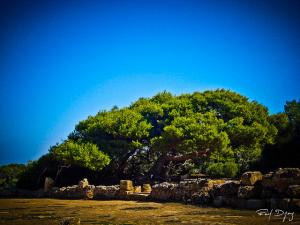 Ruine Romaine.Tipaza, Algerie