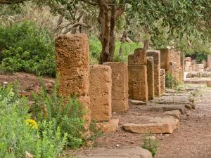 Cardo Maximus, Tipaza (Période Romaine)