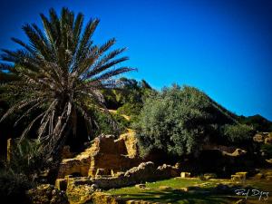 Ruines romaines.Tipaza, Algerie