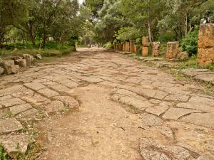 Cardo Maximus, Tipaza (Période Romaine)