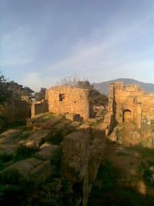 Patrimoine Romain de Tipaza