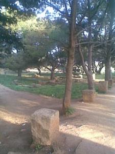 Entrée la Cité Romaine de Tipaza