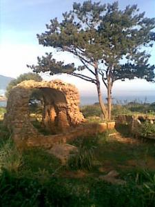 Architecture Romaine à Tipaza