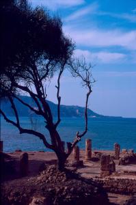 Colonnades Romaines de Tipaza