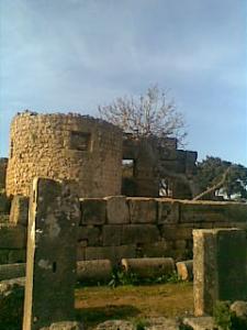 Patrimoine Romain de Tipaza