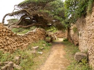 Les écuries romaines à Tipaza