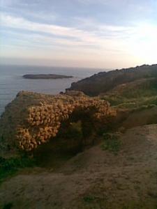 Vestiges Romains de Tipaza