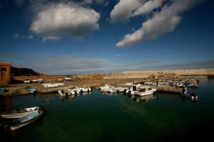 Le Port de Tipaza