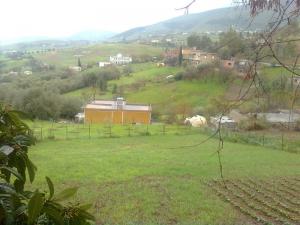 Verdure dans la région de Slaldja à Mila