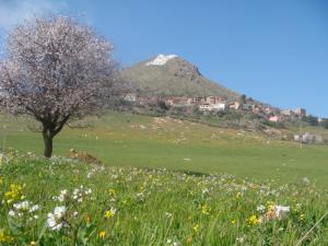 Le printemps sur la commune de Rouached à Mila