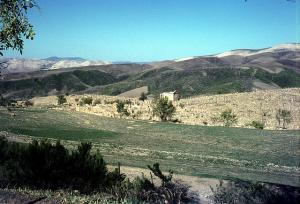 vue d'ensemble de la ville Romaine à Mila