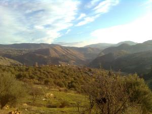 Forêt de la Commune de Tassadane à Mila
