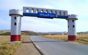 Entrée de la ville de Bordj Emir Khaled (Ain Defla)