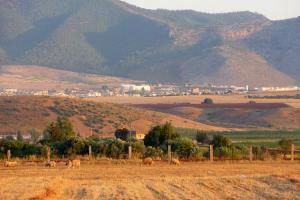 Campagne de Ain Defla