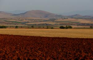 Campagne de Ain Defla