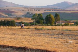 Campagne de Ain Defla