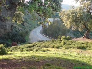 Natur de Zeggara à Tacheta Wilaya de Ain Defla