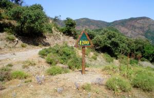 Dhaya - Altitude 1200 m (Wilaya de Ain Defla)