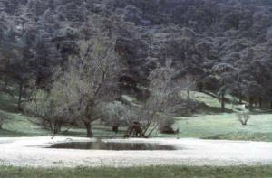 Paysage de Ain Defla