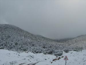 Neige sur la Forêt de Ain Defla