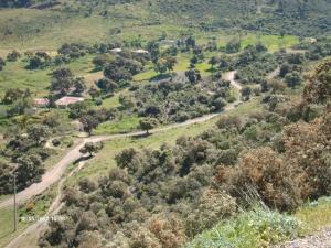 Paysage de Sidi Medjahed à Ain Defla