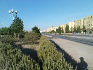 Centre Ville de Ain Defla